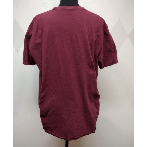 Harry Potter Gryffindor Quidditch short sleeve t-shirt - Picture 2 of 7